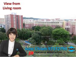 Blk 130 Choa Chu Kang Avenue 1 (Choa Chu Kang), HDB 5 Rooms #133627332